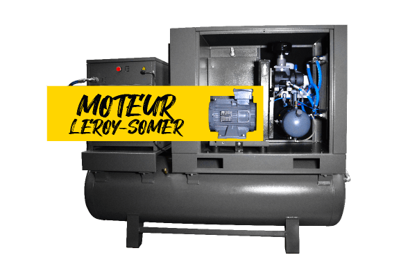 Leroy Sommer engine