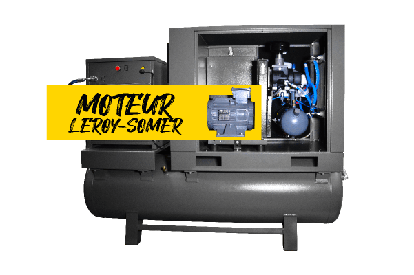 Moteur Leroy Sommer