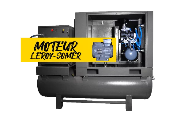 Moteur Leroy Sommer