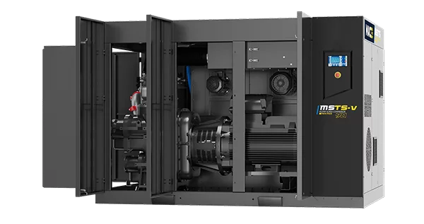 MSTS-V 2